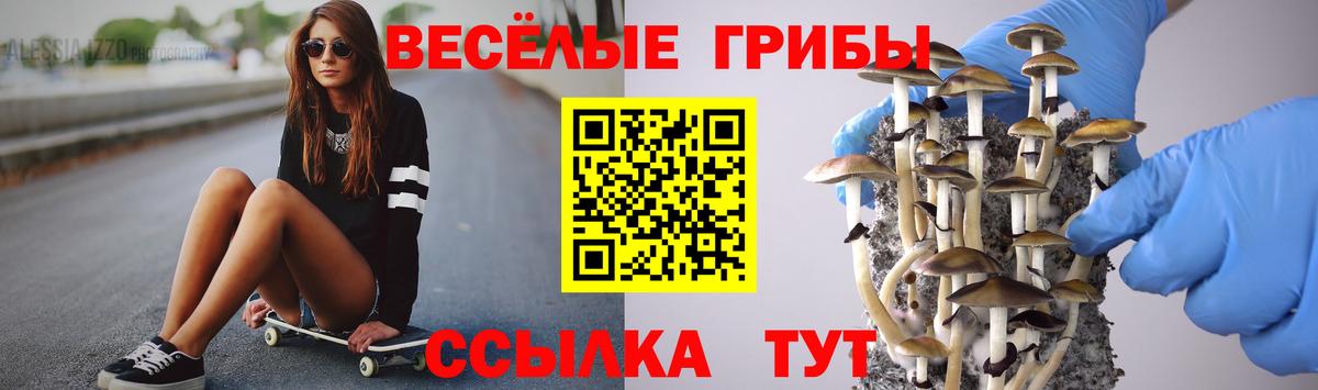 Псилоцибиновые грибы Magic Shrooms  Вход с VPN  Галлюциногенные грибы мухоморы  Рязань 