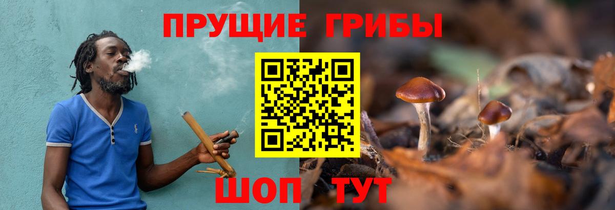 Галлюциногенные грибы прущие грибы Рязань